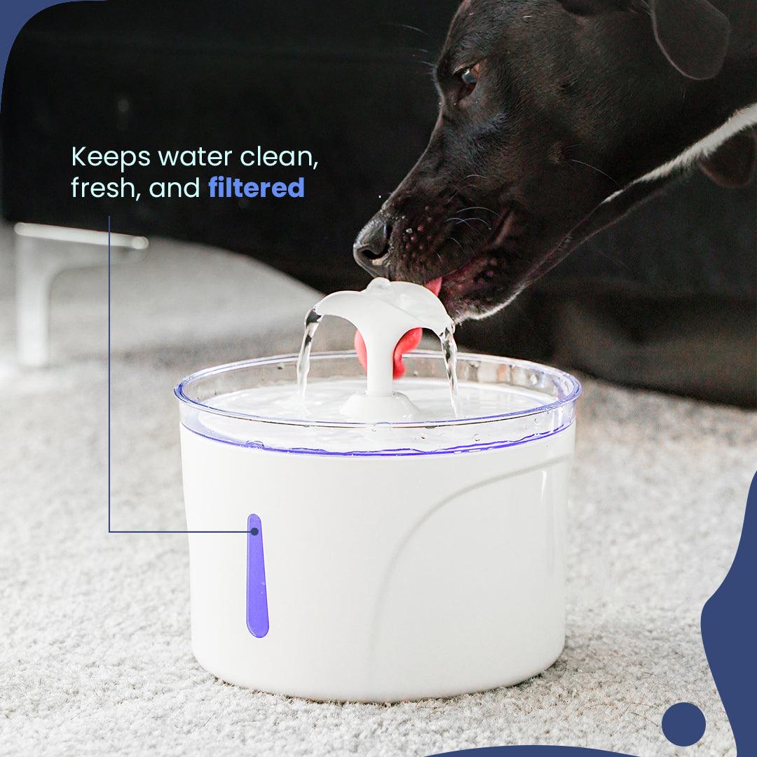 Calming Fountain Plus+ - Calming Dog