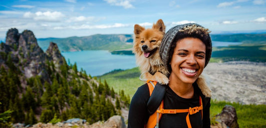 Saddle Up! Carry a Dog in a Backpack