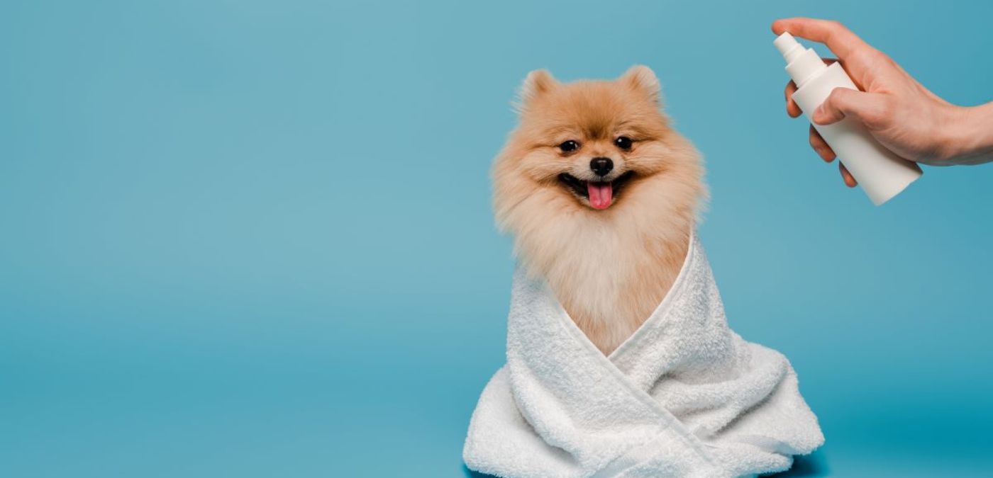 Calmness in a Bottle: The Best Calming Spray for Dogs