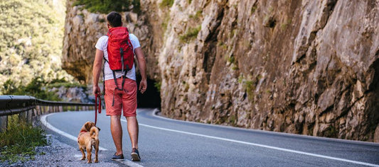 man walking with dog on a leash
