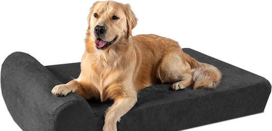 10 Best Dog Beds for Comfort and Design