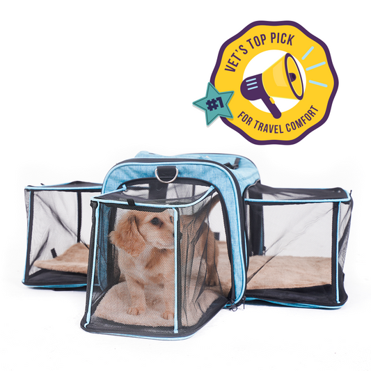 Calming Carrier Plus - Blue