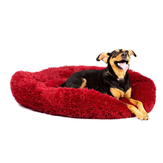 calming dog bed