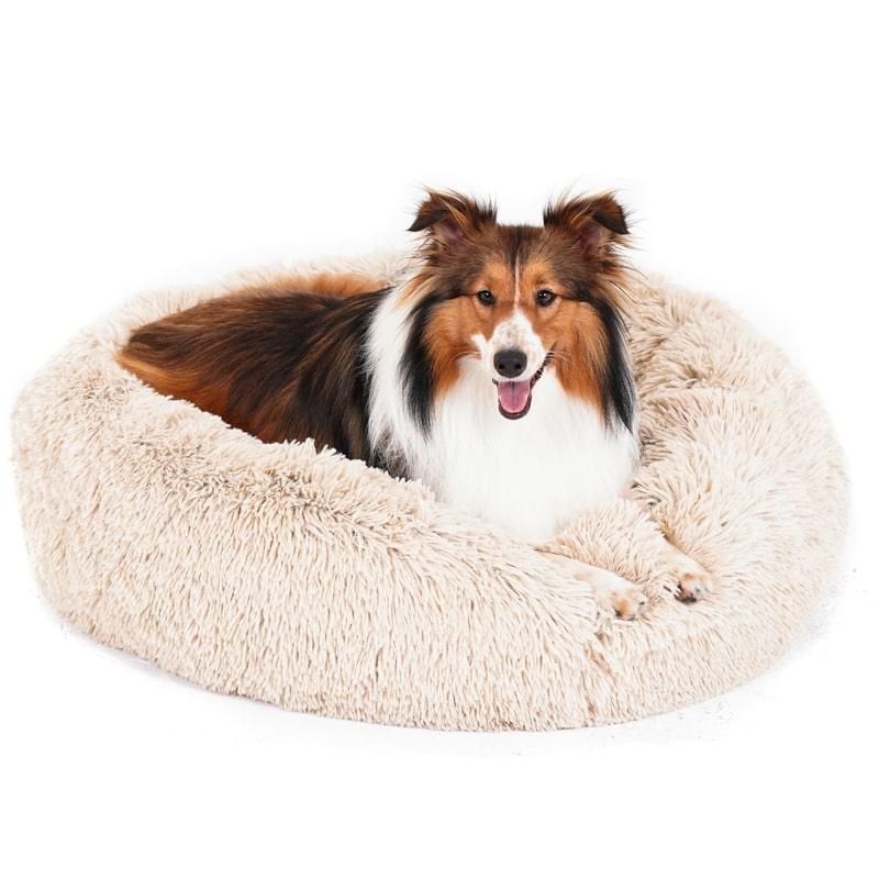 calming bed for dogs