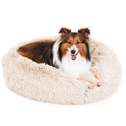 calming bed for dogs