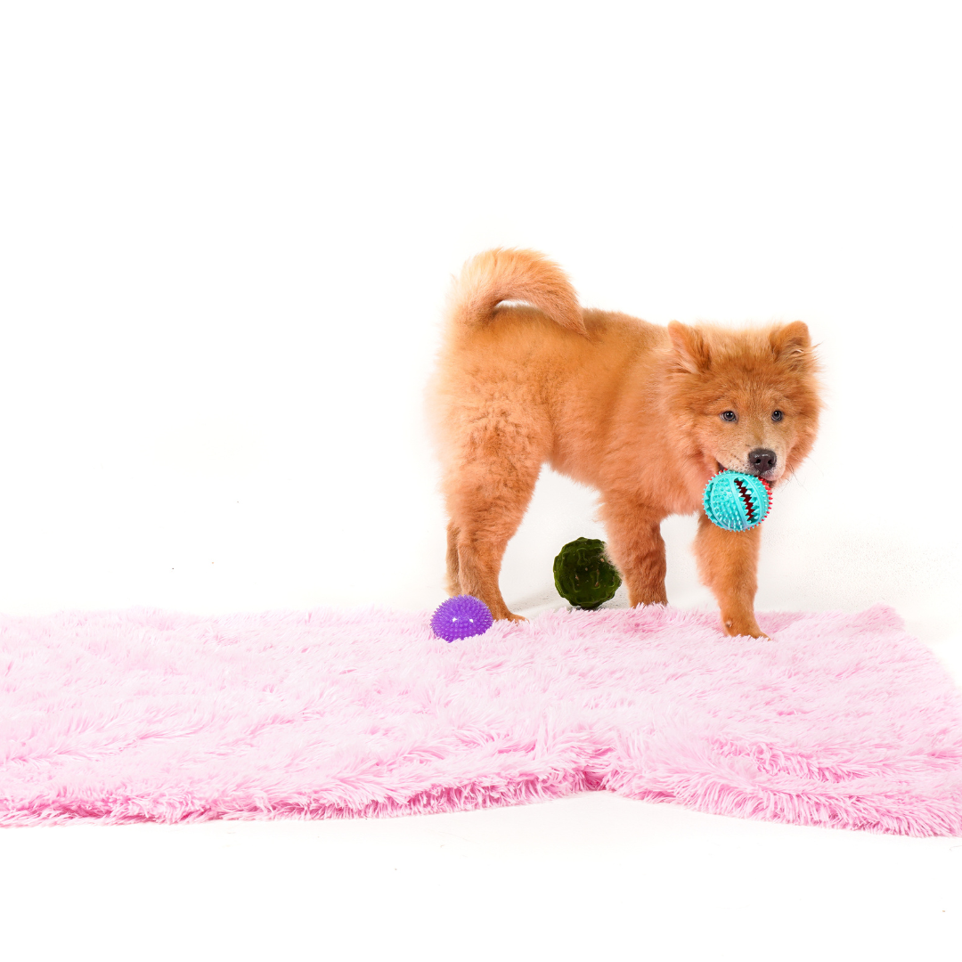 Calming Cuddle Blanket Plus+