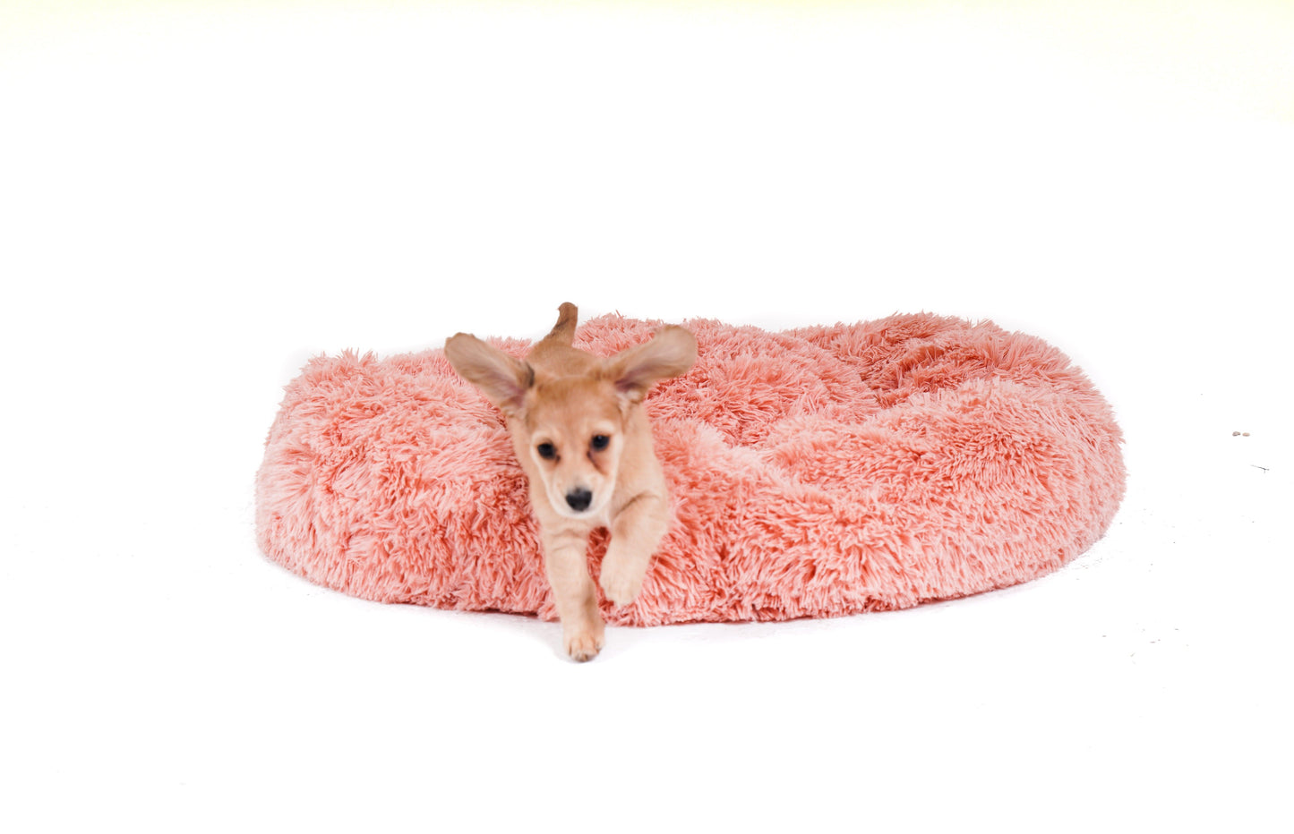 Calming Cuddle Bed Plus+ Memory Foam - Calming Dog