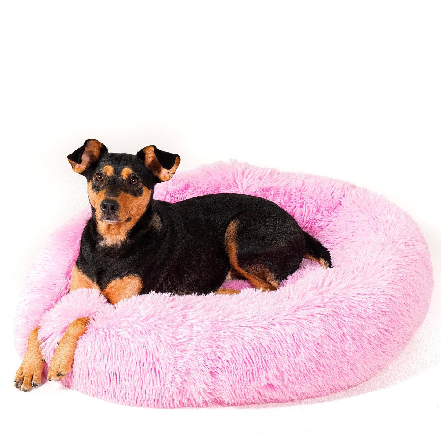 Calming Cuddle Bed Plus+ Memory Foam - Calming Dog
