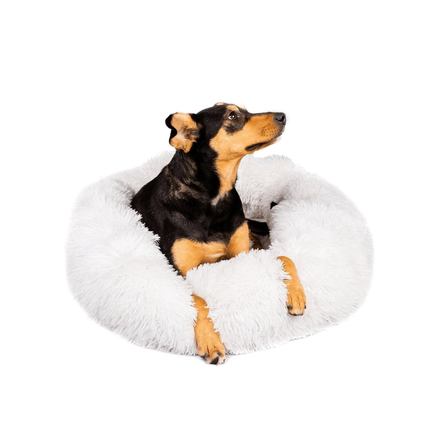 anti anxiety dog bed
