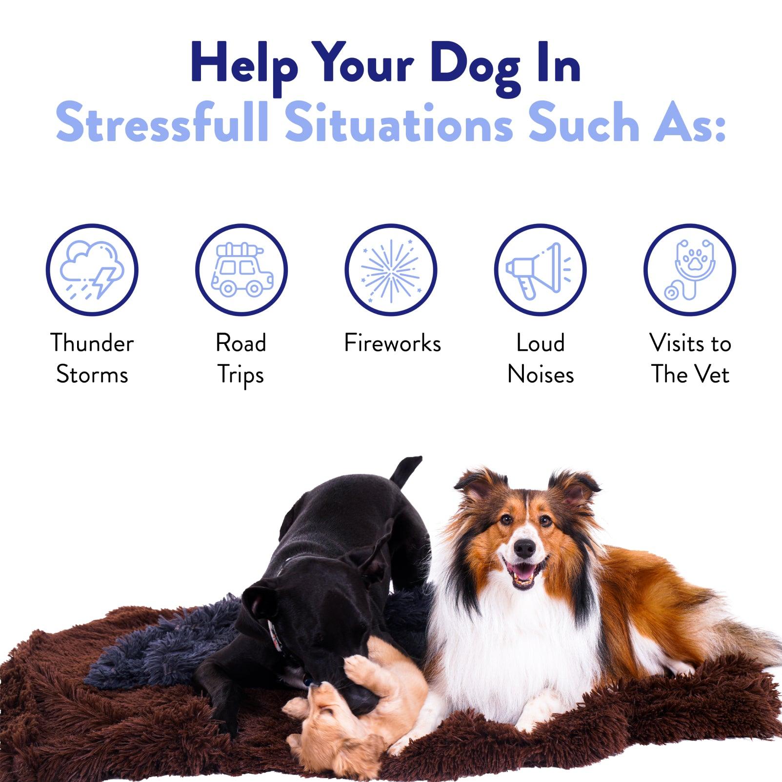 Calming Zen Chews - Calming Dog