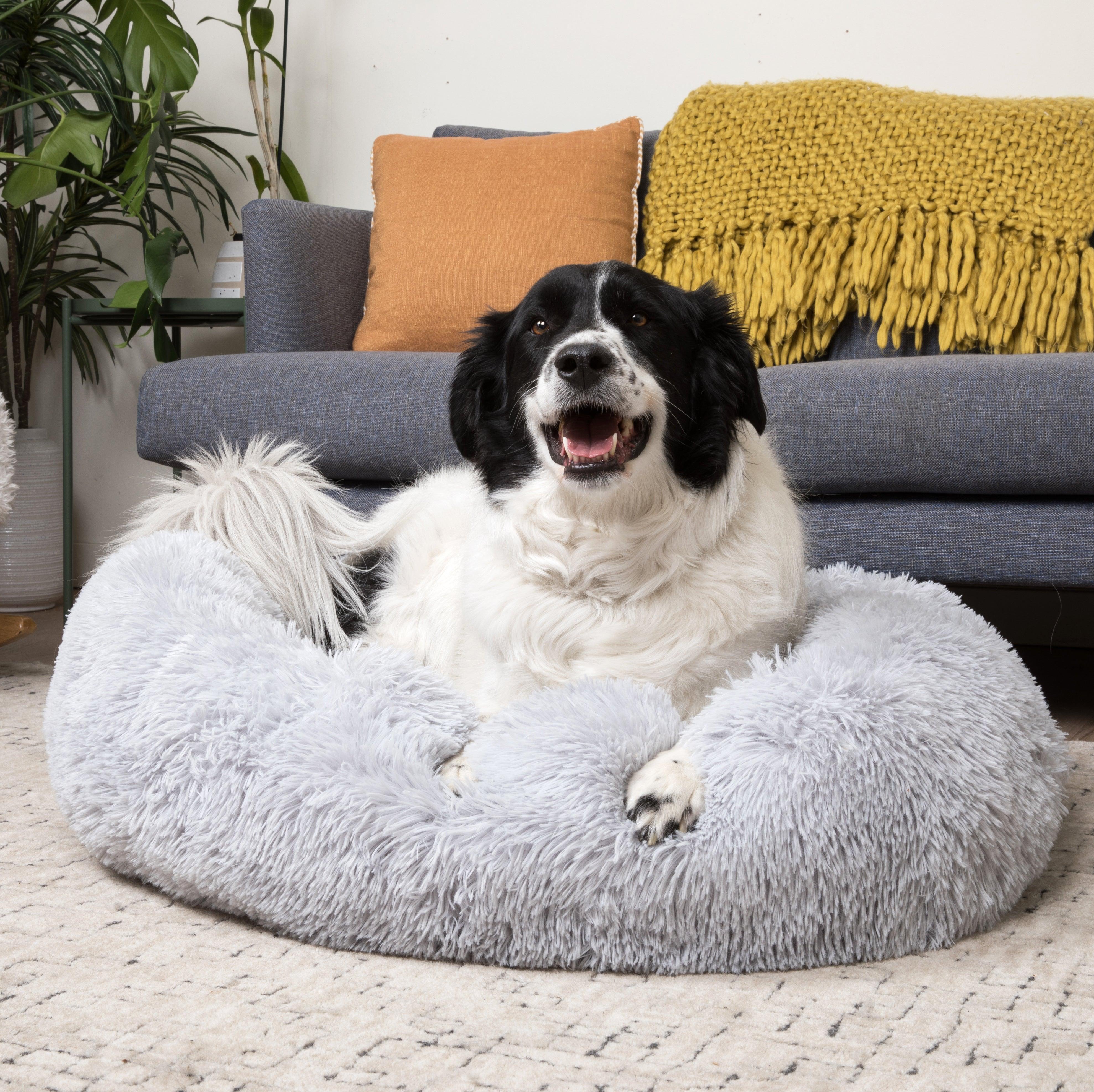 Calming Cuddle Bed Plus+