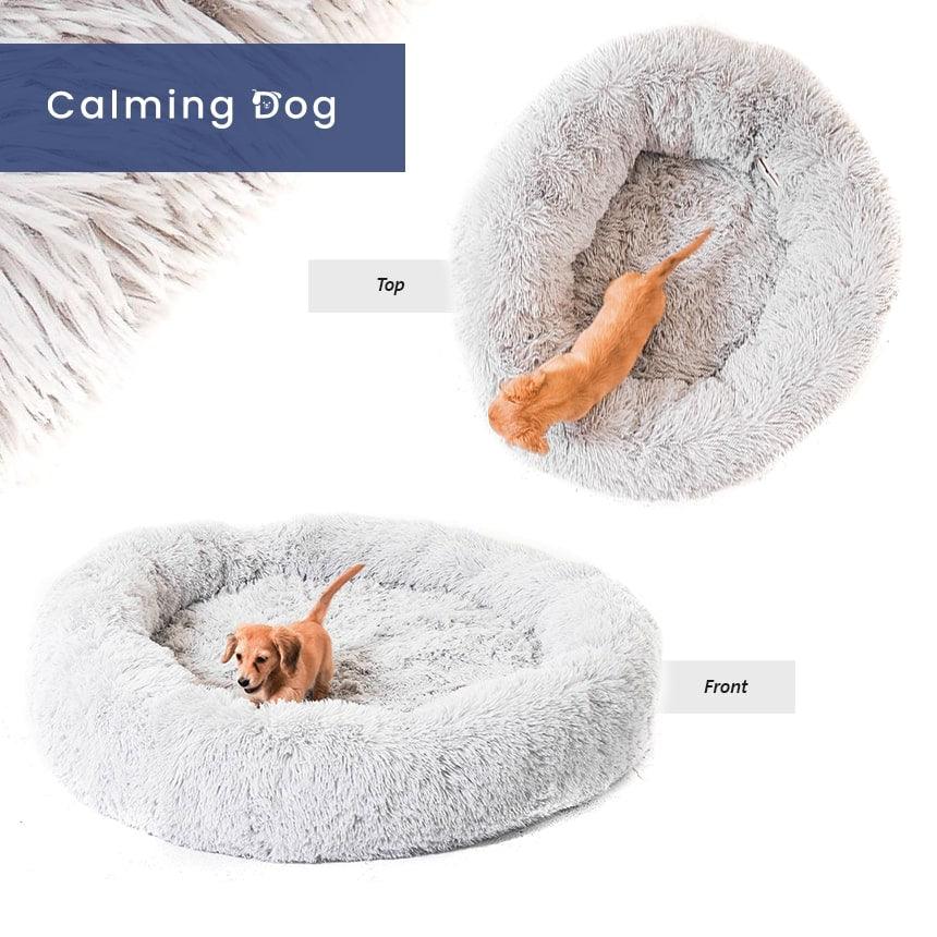soothing dog bed