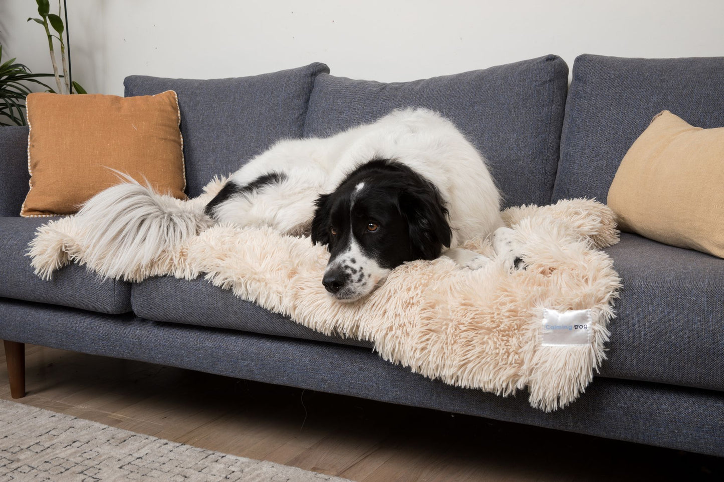 best dog anxiety bed