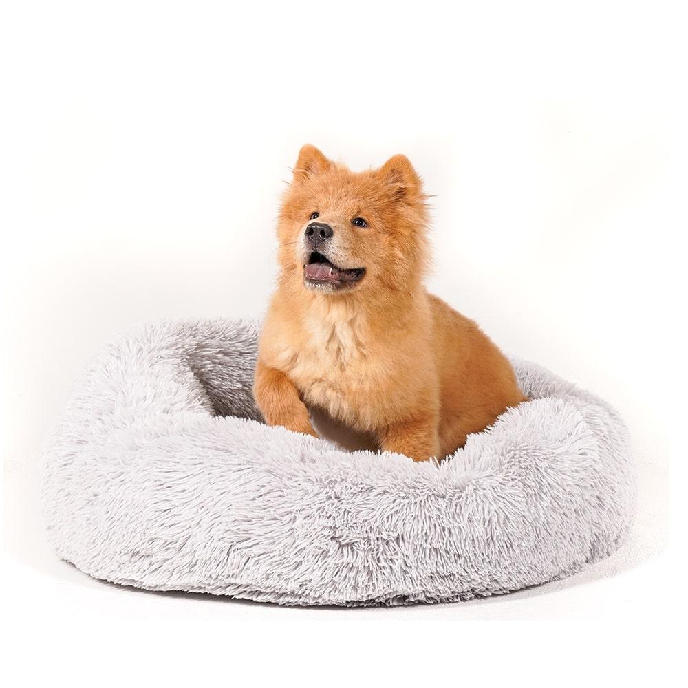 calming bed for dogs